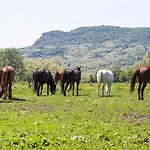 Отель типа 