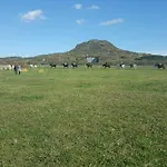 Gyulavezér Lovasbirodalma 3* Gyulakeszi
