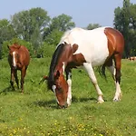 Gyulavezér Lovasbirodalma Panzió 3*