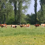 Frühstückspension Gyulavezer Lovasbirodalma 3*