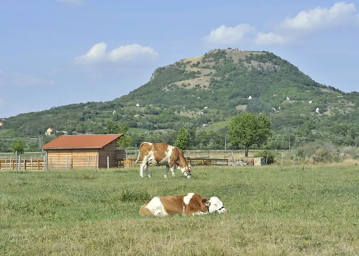 Gyulavezer Lovasbirodalma 3* Gyulakeszi