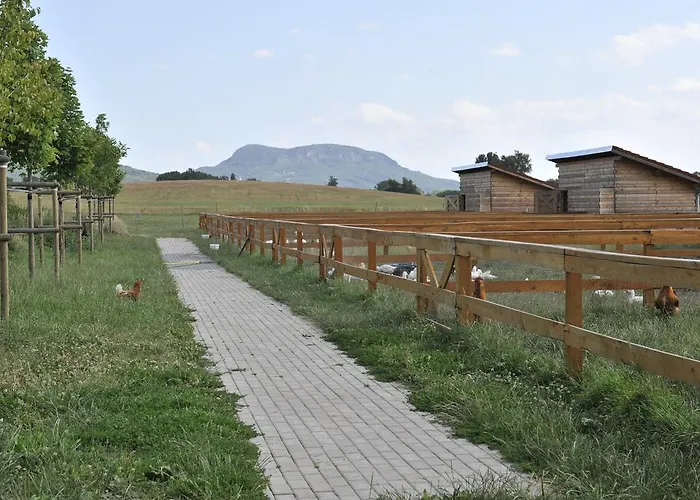 Gyulavezer Lovasbirodalma Bed & Breakfast