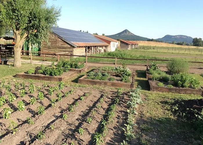 Gyulavezer Lovasbirodalma Bed & Breakfast Gyulakeszi