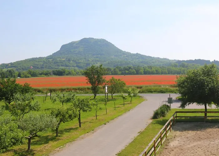 Gyulavezer Lovasbirodalma Bed & Breakfast
