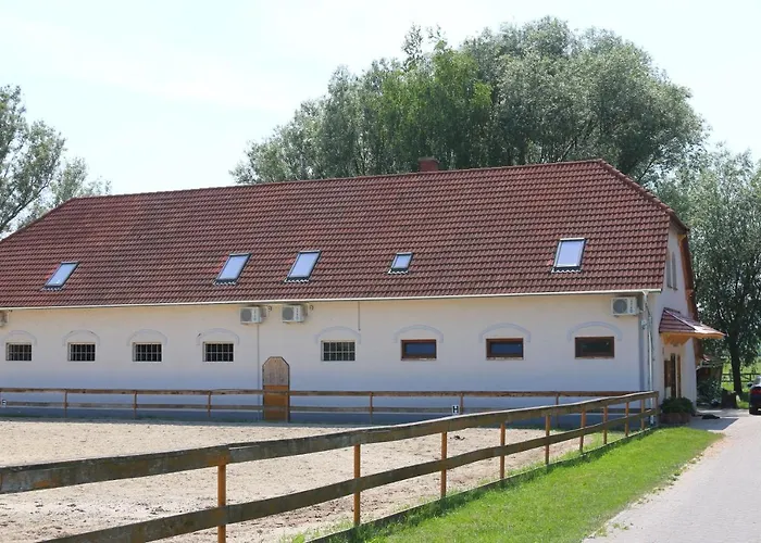 Gyulavezér Lovasbirodalma Bed and breakfast 3*